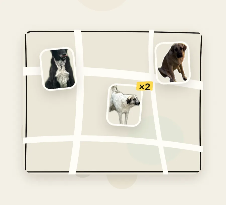 Dogs on a drawn map